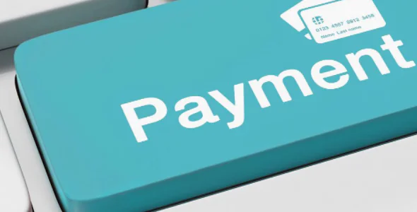 Lighspeed payment